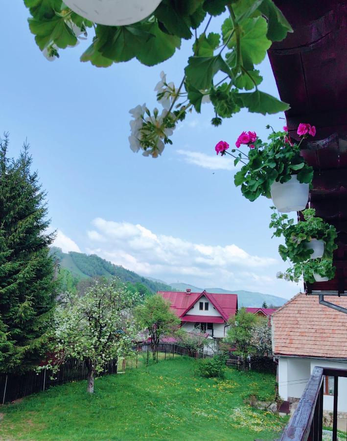 Voinescu House - Natural Living & Eating Simon Luaran gambar